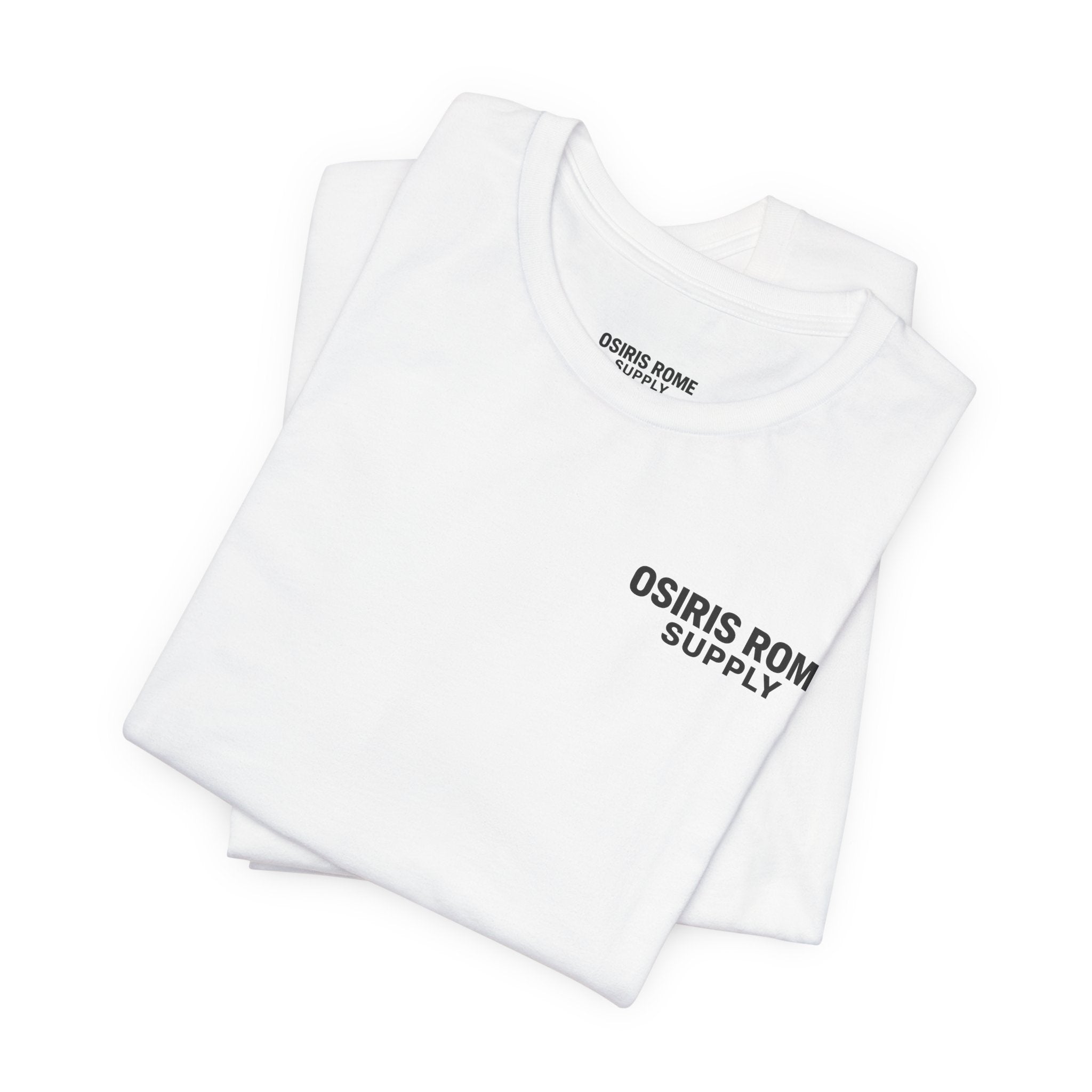 Osiris Rome Supply Colosseum Graphic Tee | Rome Italy Travel Shirt
