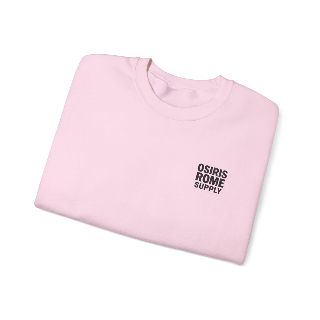 Osiris Rome Supply Crewneck Sweatshirt – Vintage Colosseum Graphic