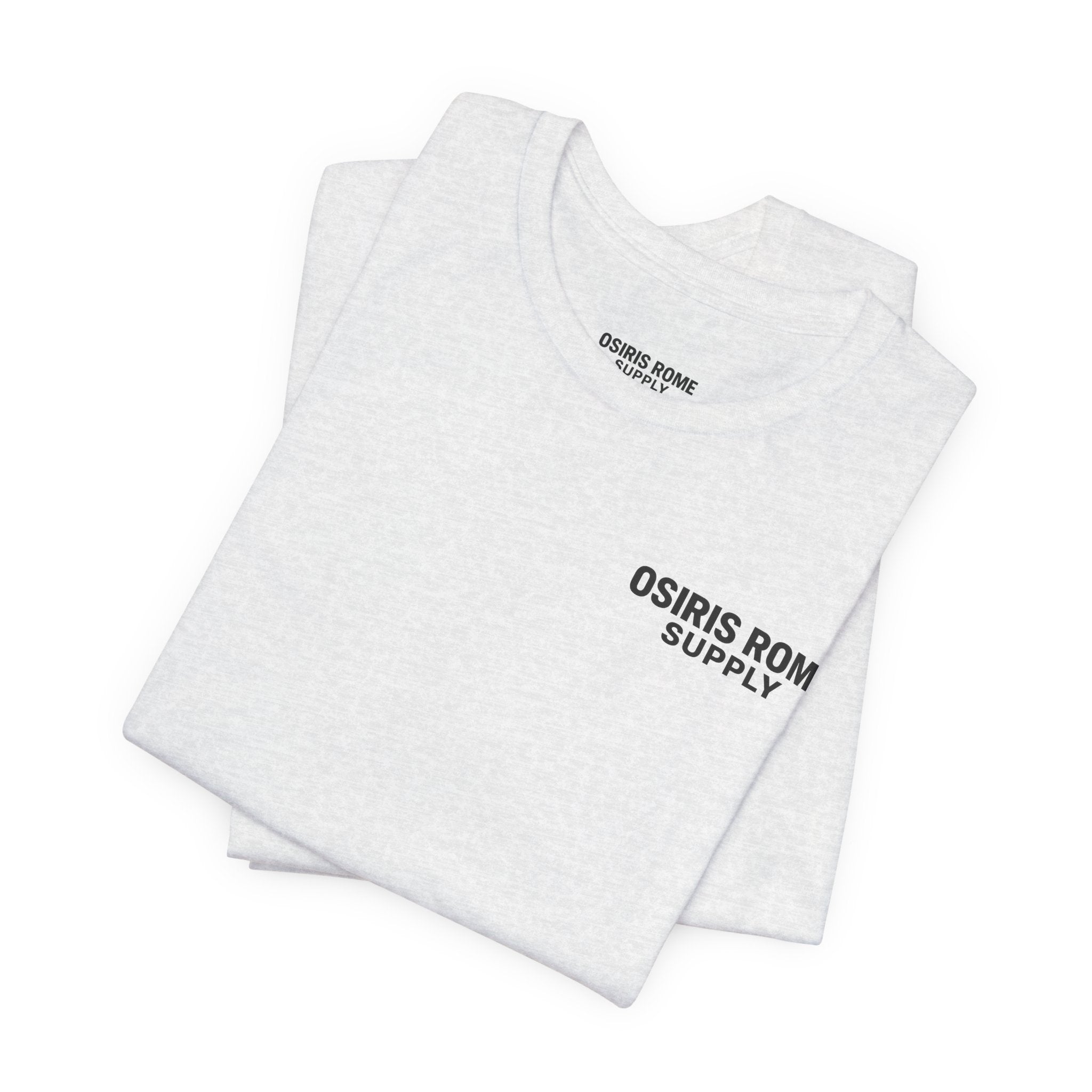 Osiris Rome Supply Colosseum Graphic Tee | Rome Italy Travel Shirt