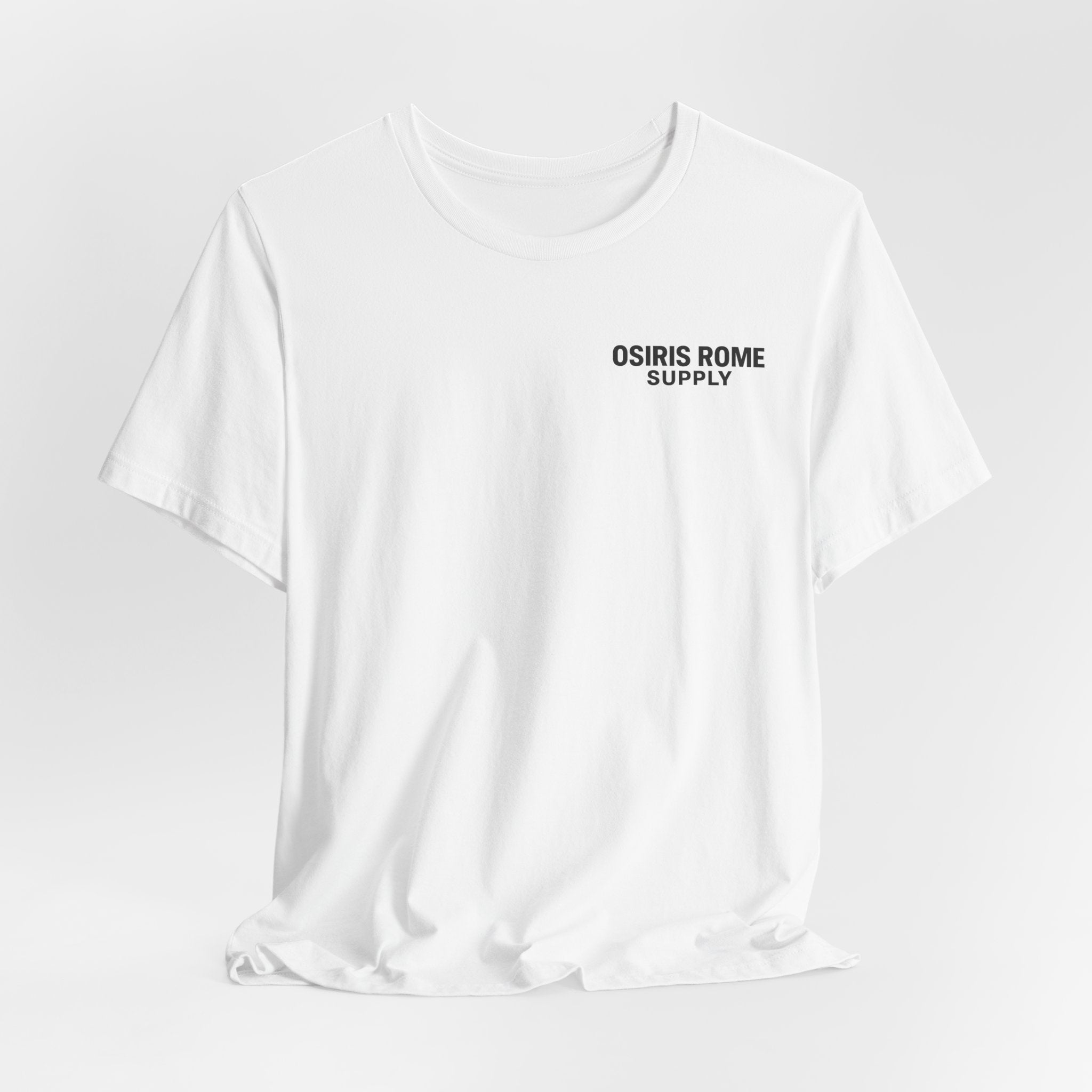 Osiris Rome Supply Colosseum Graphic Tee | Rome Italy Travel Shirt